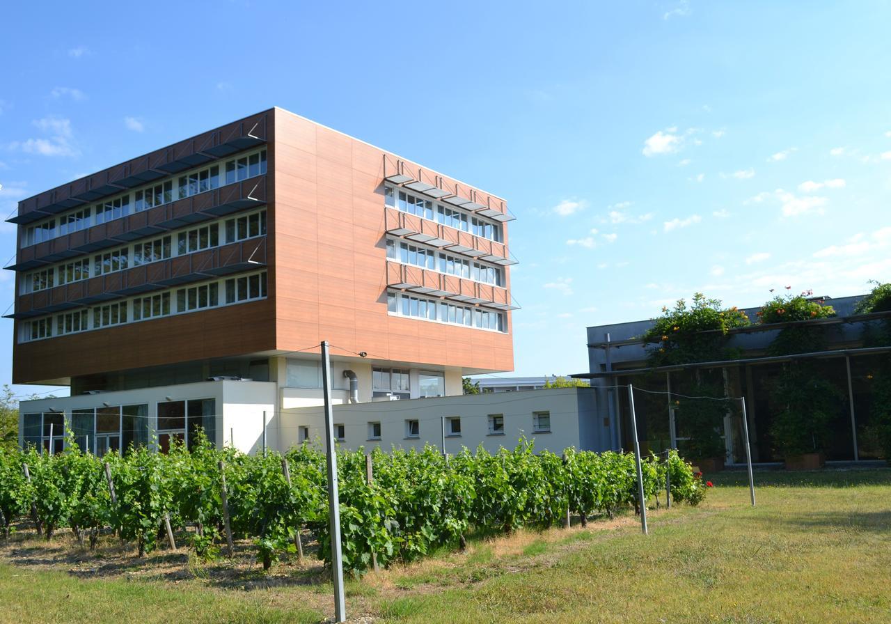 Hotel De Guyenne Talence Exteriör bild